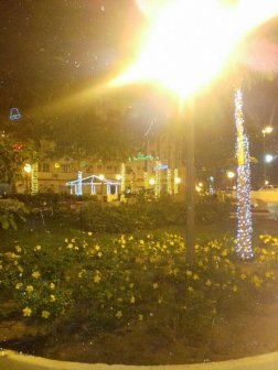 Imagem de Debora Moreira