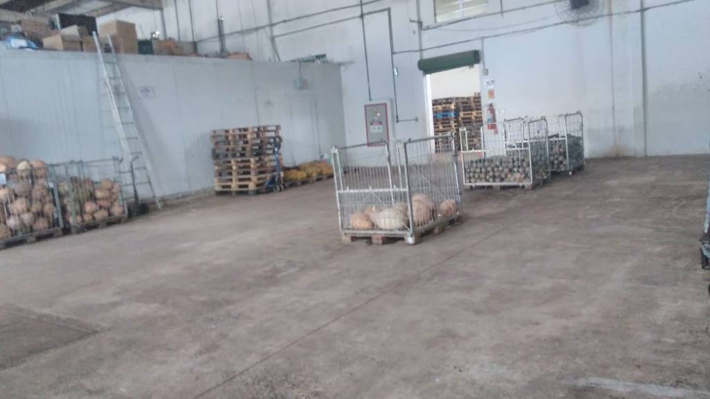 Ceasa atinge 90% de desabastecimento