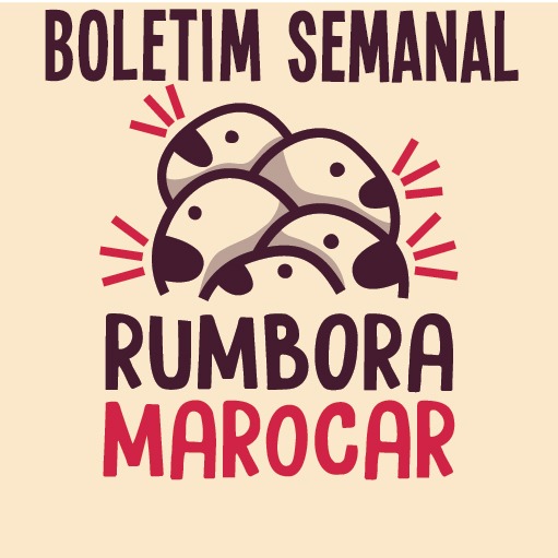 Boletim Rumbora Marocar – Eduardo Braide e Duarte Júnior | As checagens da reta final das Eleições 2020
