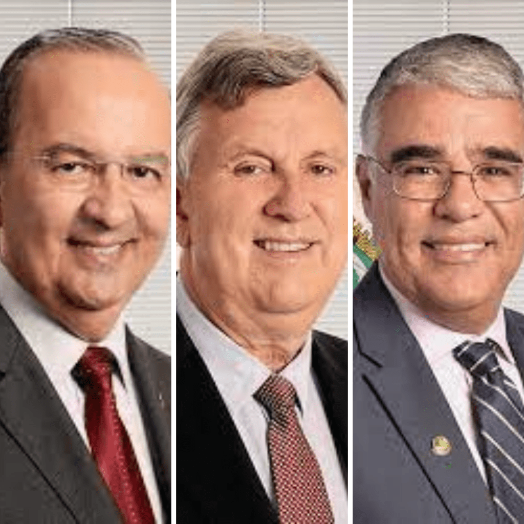 Senadores da base de bolsonaro interrogaram o ex-ministro Mandetta com base em informações&nbsp;falsas