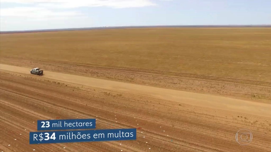 Vídeo mostra desmatamento na Mata ROma, Baixo Parnaíba&nbsp;Maranhense