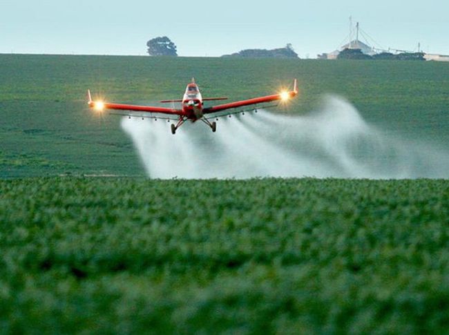 Justiça suspende liminarmente pulverização em regiões afetadas pelo uso de agrotóxicos em&nbsp;Buriti