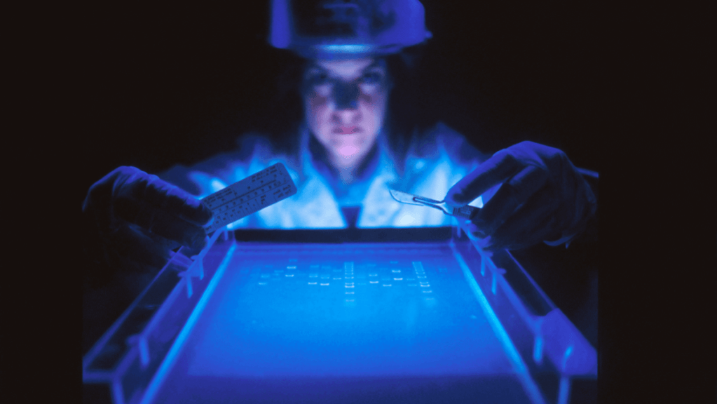 Ser cientista no Brasil: um direito também das&nbsp;mulheres