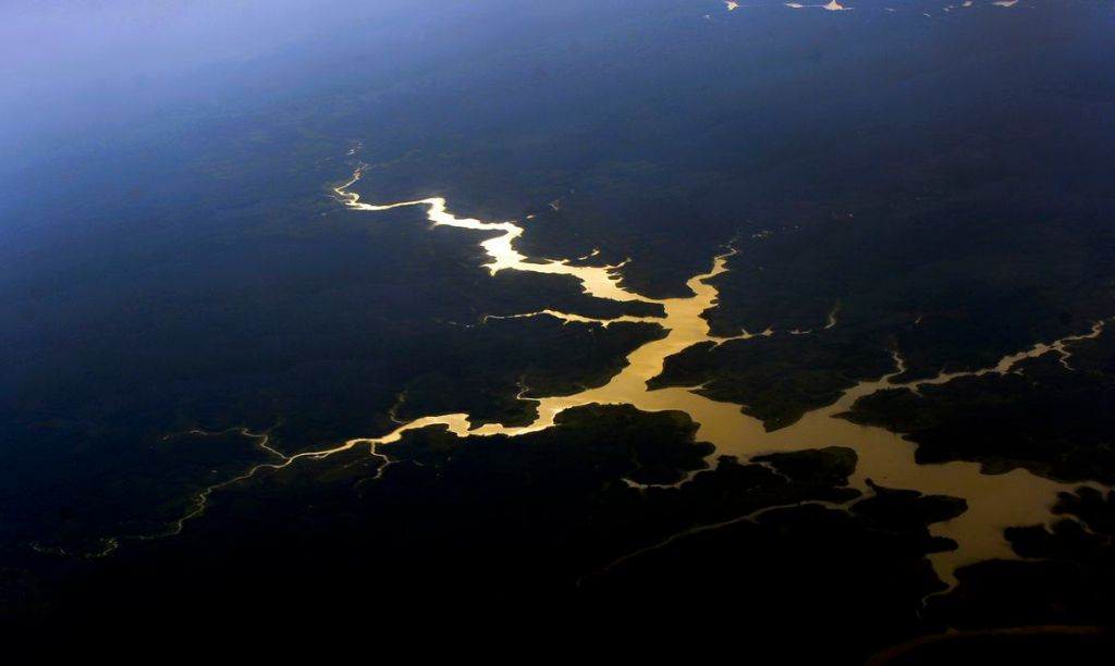 Brasil é o primeiro do mundo em potencial de descoberta de&nbsp;espécies