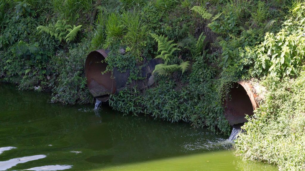 Geosmina na cidade do Rio tem relação com&nbsp;esgoto?