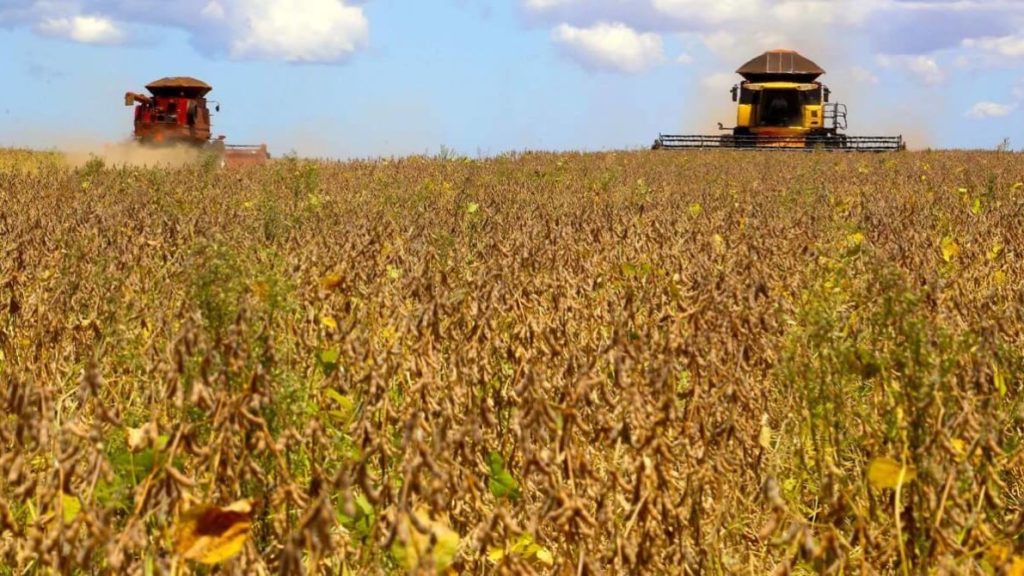 Pandemia torna evidentes impactos negativos dos sistemas alimentares na economia, meio ambiente e saúde&nbsp;pública