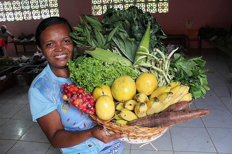 Assembleia Legislativa aprova projeto de lei que beneficia agricultura&nbsp;familiar