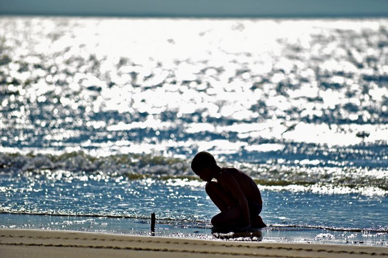 Inscrições para o 1º Concurso Amador de Fotografia Ambiental estão&nbsp;abertas