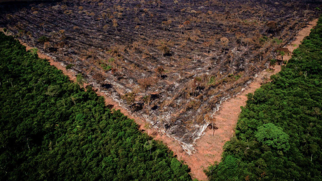 Gigante pela própria natureza, até quando?