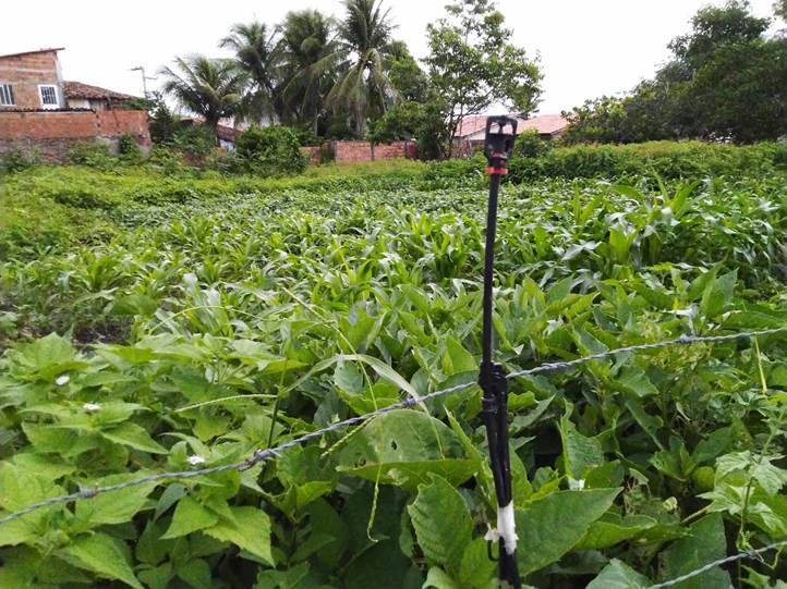Alunos do CE criam irrigador com garrafa pet e ajudam mais de 40 famílias da agropecuária&nbsp;local