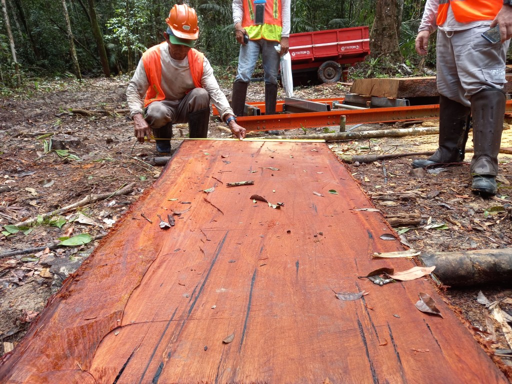 Produção sustentável, comunitária e familiar de produtos da floresta amazônica é tema de seminário virtual nesta terça&nbsp;(14)