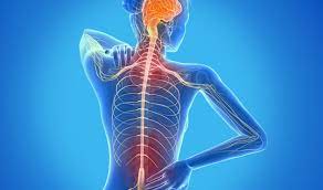 ANVISA aprova novo medicamento para fase progressiva da Esclerose&nbsp;Múltipla