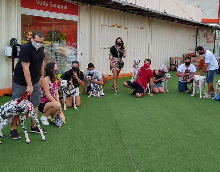 Encontro dos Dálmatas acontece neste sábado no Golden Shopping