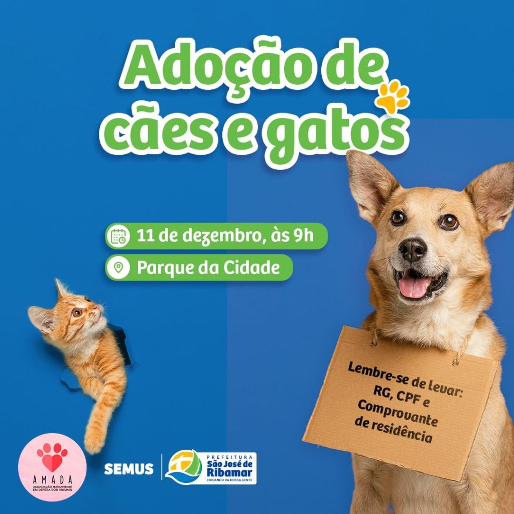 Ação para adoção de cães e gatos será realizada Ribamar nesta sábado&nbsp;(11)