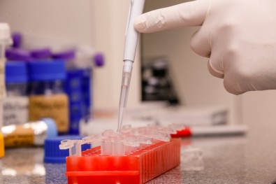 Pesquisadores da USP isolam variante ômicron do&nbsp;SARS-CoV-2