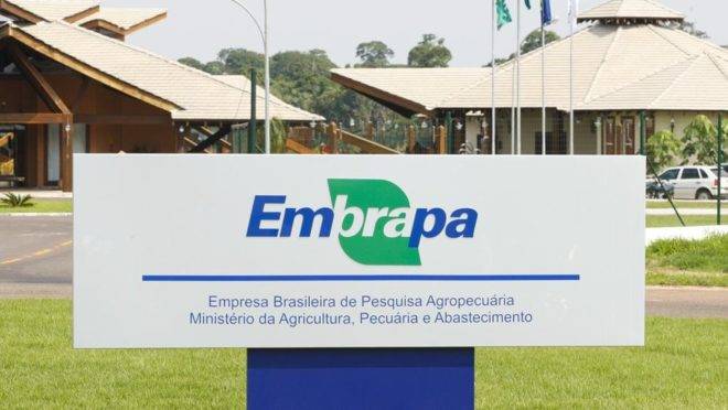 Embrapa abre oportunidade para empresas parceiras em projeto de inovação para agricultura digital e sustentabilidade