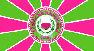 Presidente da Escola de Samba Turma da Mangueira se pronuncia sobre o cancelamento do Carnaval em São&nbsp;Luís