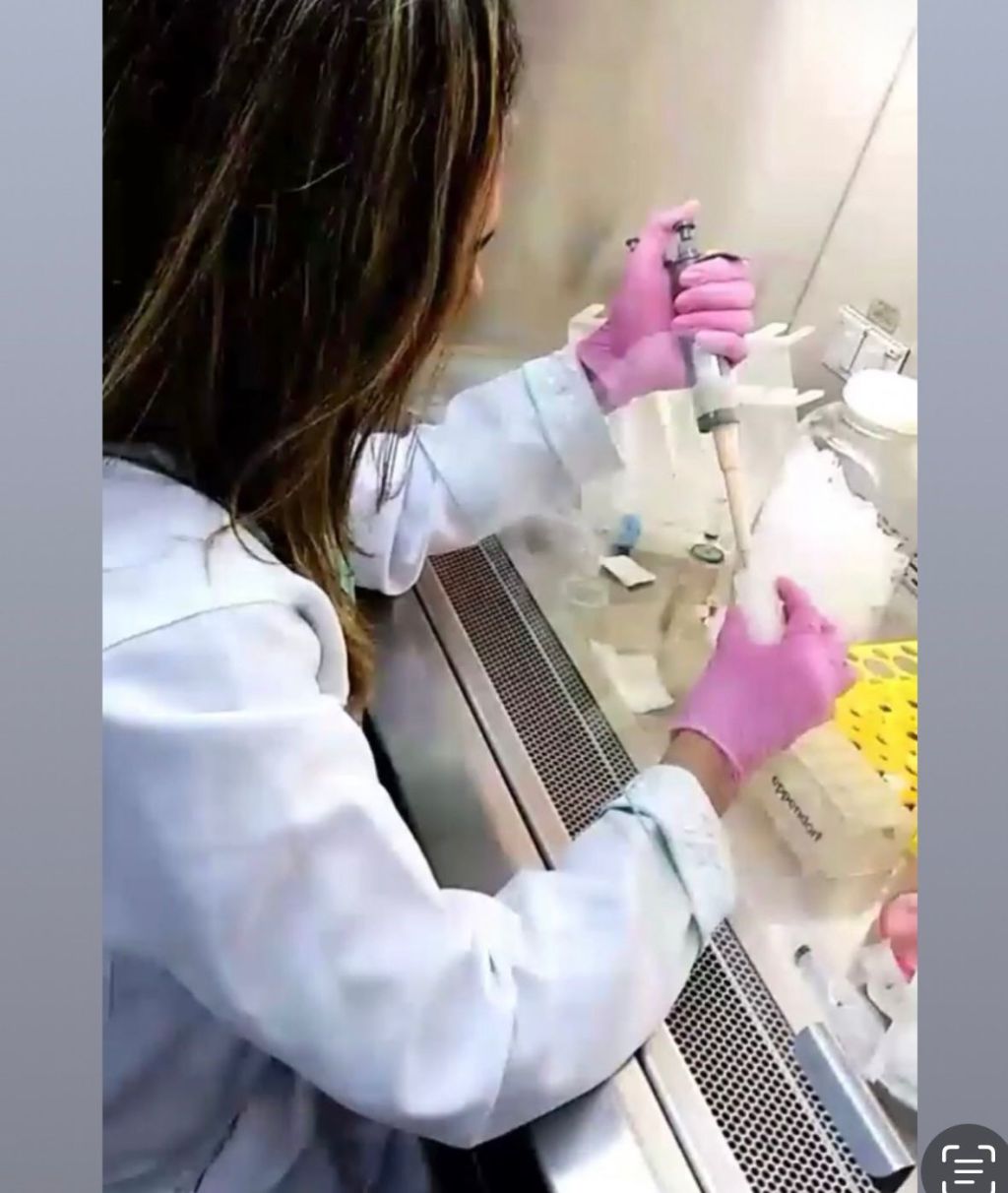 11 de Fevereiro – Dia Internacional das Mulheres e Meninas na&nbsp;Ciência