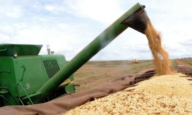 Desmatamento e mudança climática colocam em risco nova fronteira agrícola brasileira