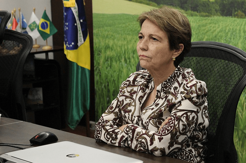 CMA pode convocar ministra da Agricultura para falar de negacionismo na pauta&nbsp;ambiental