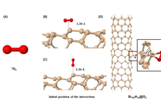 Estudo do CDMF investiga atividade virucida de nanotubos de silício contra o&nbsp;SARS-CoV-2