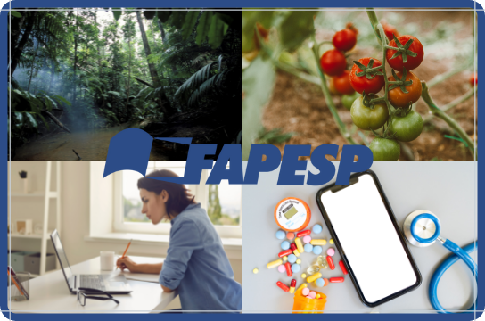 Pesquisadores da UFSCar se envolvem em projetos de recuperação&nbsp;pós-Covid