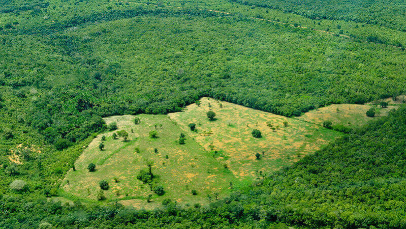 Cadastro Ambiental Rural facilita grilagem de terras públicas na&nbsp;Amazônia