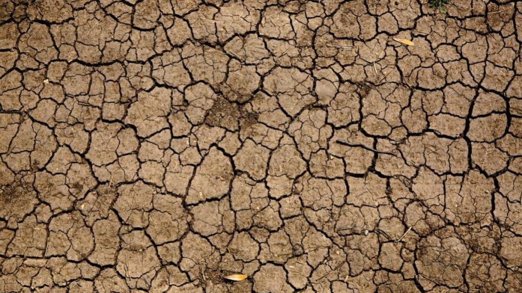 Enfrentar a mudança do clima exige respostas em velocidade e escala sem&nbsp;precedentes