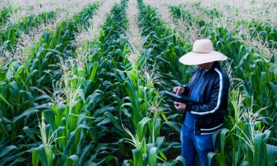 Especialista da ONU defende inovação para promover uso eficiente da terra e superar a fome