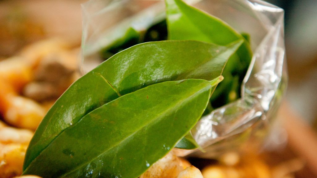 Pesquisadores desenvolvem sorvete de alto valor proteico com plantas alimentícias não-convencionais