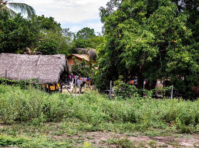 Publicada portaria conjunta que regulamenta consulta prévia para a expedição de licenças em áreas de comunidades tradicionais no&nbsp;MA