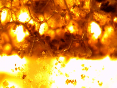 Novo sistema de tratamento de esgoto remove até 70% do nitrogênio que seria lançado na&nbsp;natureza