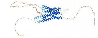 Proteína que detecta a luz pode ter papel na origem e na progressão do melanoma, sugere&nbsp;estudo