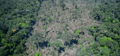 Amazônia: degradação da floresta remanescente pode emitir tanto ou mais carbono que o&nbsp;desmatamento