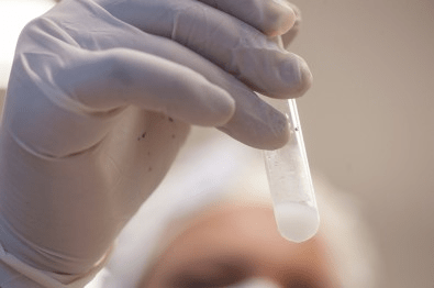 Fundações de amparo à pesquisa têm assegurado o financiamento à ciência, avaliam presidentes de&nbsp;FAPs