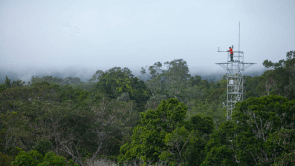 Projeto pioneiro que vai analisar impacto do CO2 atmosférico na Amazônia inicia&nbsp;testes