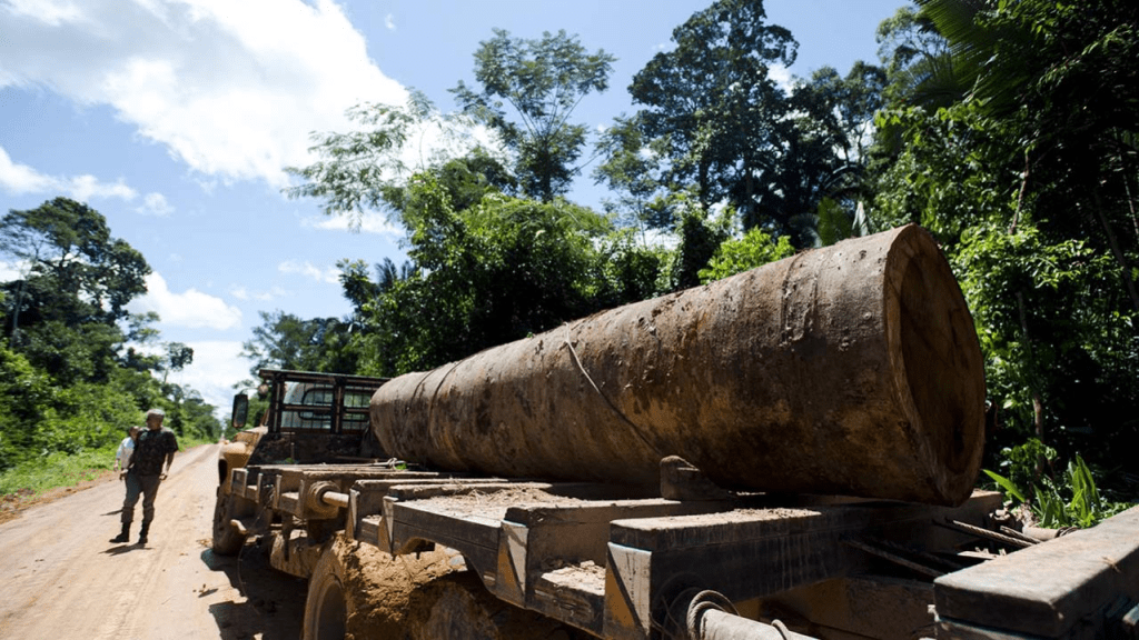 Novo projeto de lei reduz as restrições de desmatamento e pretende tirar o estado do Mato Grosso da Amazônia Legal, alerta&nbsp;estudo