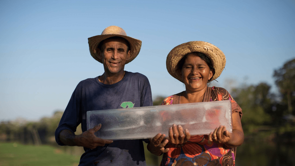A importância econômica do gelo na&nbsp;Amazônia