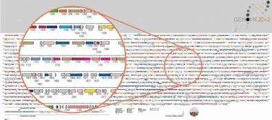 Workshop celebrará os 22 anos do Projeto Genoma&nbsp;FAPESP