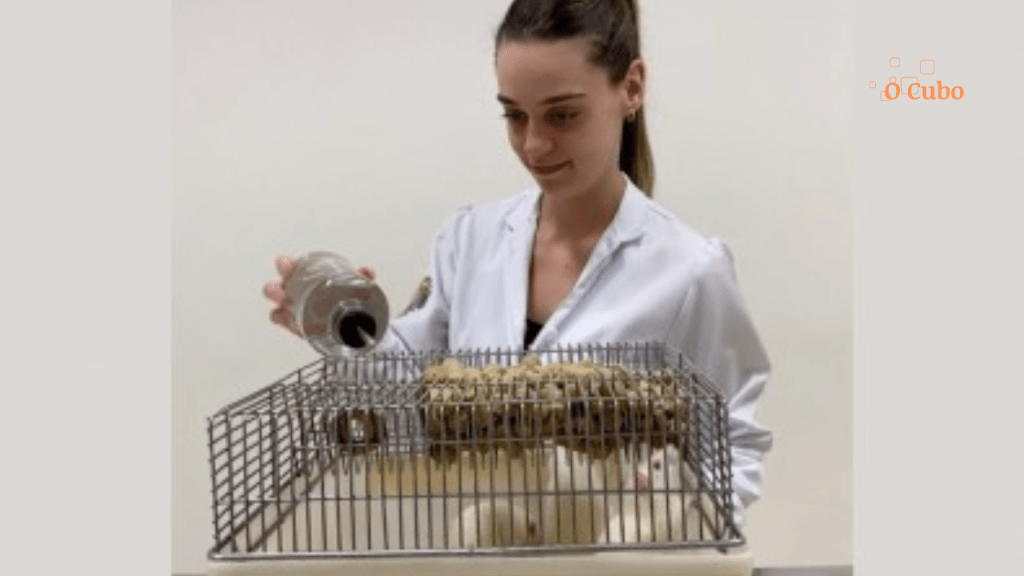 Anti-inflamatórios de uso comum na infância podem causar alterações no esmalte dentário, revela&nbsp;estudo