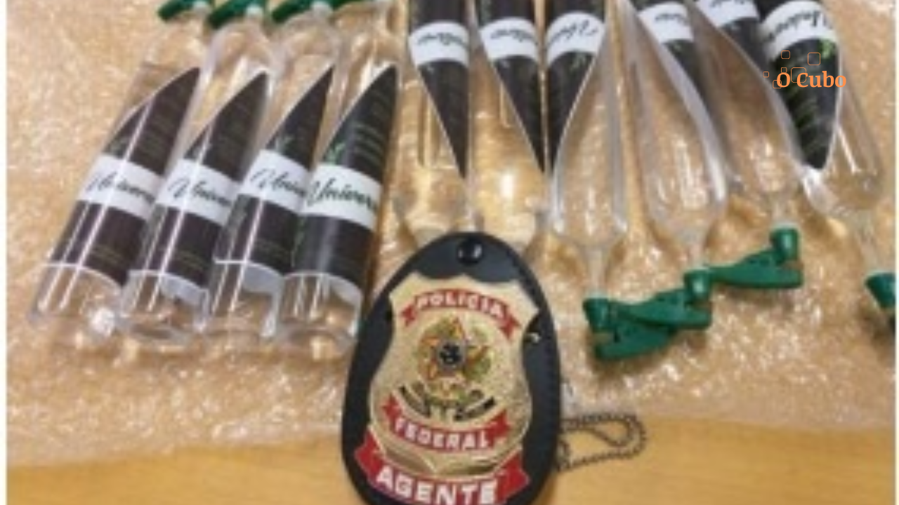 Polícia Federal realiza operação de combate ao tráfico de drogas através dos Correios no Maranhão
