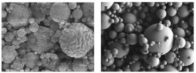 Cientistas usam quitosana para criar micropartículas antioxidantes mais estáveis para&nbsp;cosméticos