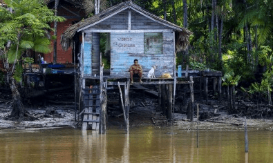 Iniciativa Amazônia +10 seleciona 39 projetos de&nbsp;pesquisa