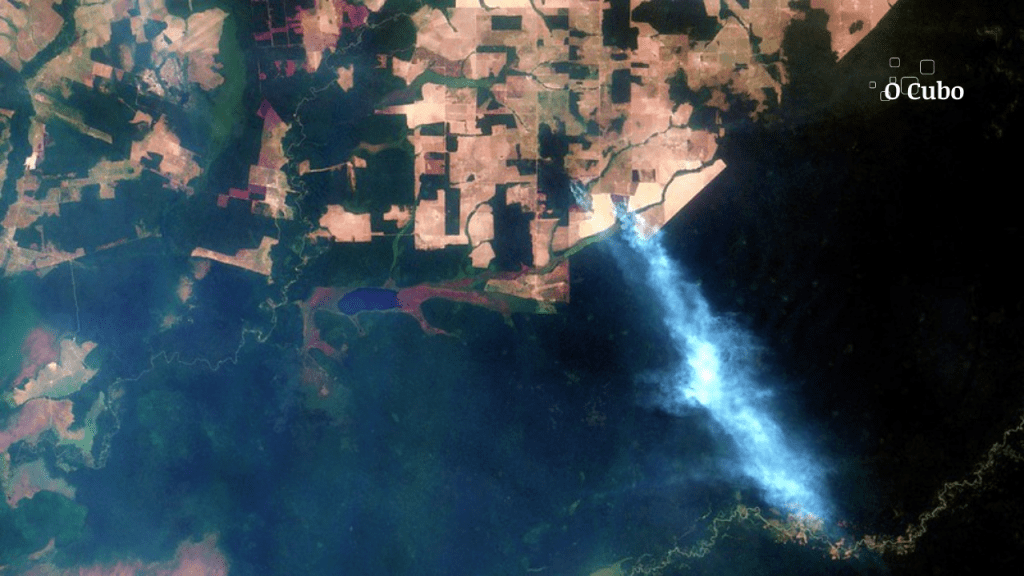 Incêndios florestais aumentaram no Sudoeste da Amazônia após novo Código&nbsp;Florestal