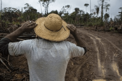 Tamanho da população rural é subestimado no Brasil e falta representação política, afirmam&nbsp;cientistas