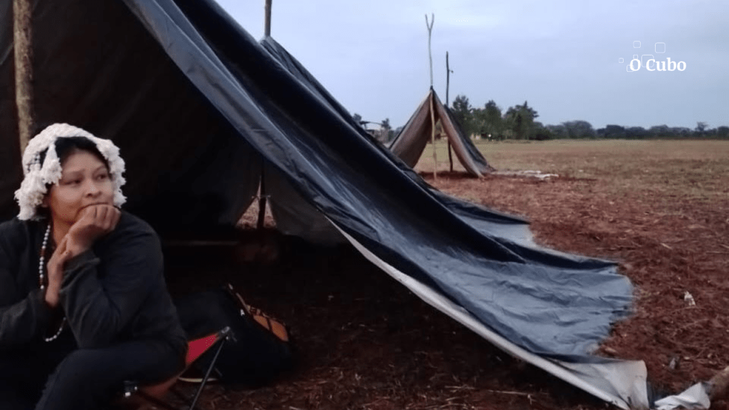 Indígenas Kaiowá e Guarani retomam parte do território Laranjeira Nhanderu e sofrem ameaça de&nbsp;despejo