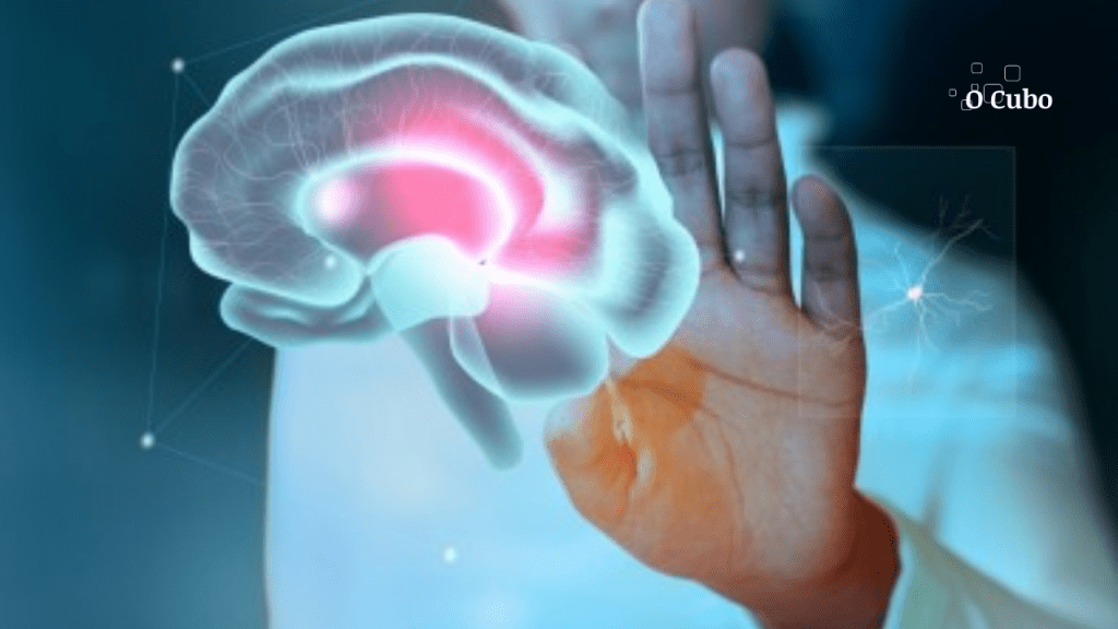 Pesquisa brasileira mostra mecanismo genético envolvido na forma mais grave de&nbsp;epilepsia