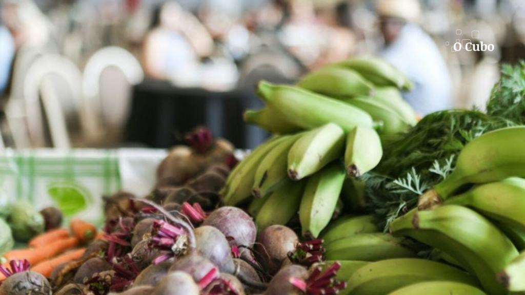 Governo Federal reajusta em até 39% o valor destinado à merenda&nbsp;escolar
