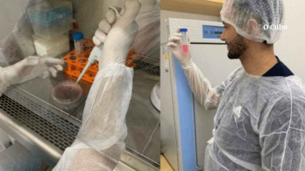 COVID-19 pode levar sistema imune à exaustão mesmo em jovens com quadro leve ou&nbsp;moderado