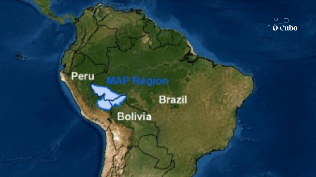 Enfraquecimento de instituições e falta de políticas locais fragilizam gestão de incêndios na&nbsp;Amazônia